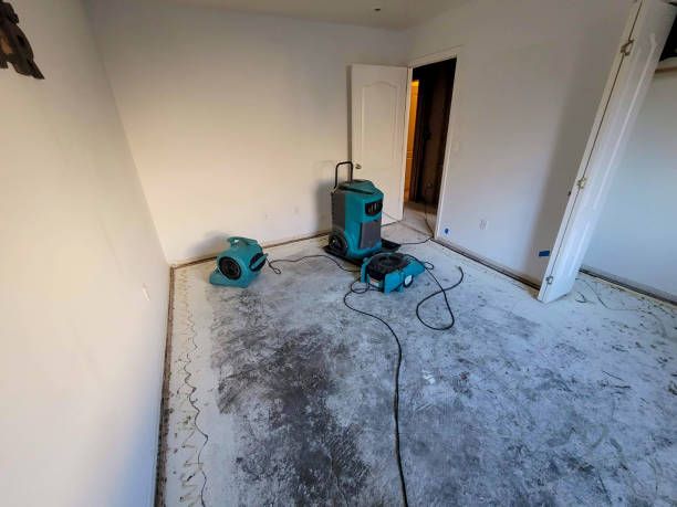 Trusted Vestavia Hills, AL Water damage restoration Experts