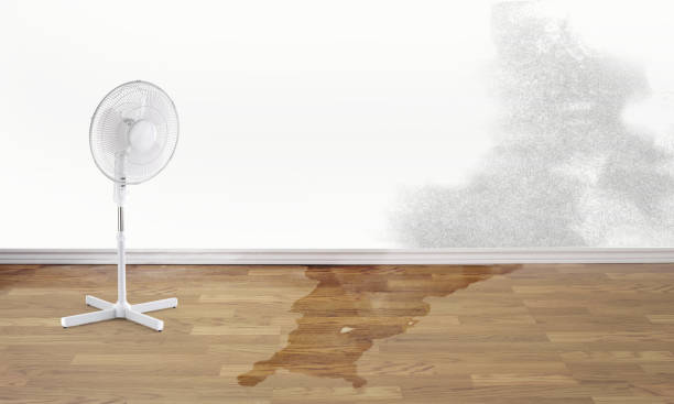 Best Emergency water damage restoration  in Vestavia Hills, AL