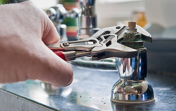 Best Mold removal after water damage  in Vestavia Hills, AL
