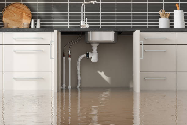 Best 24/7 water damage repair  in Vestavia Hills, AL