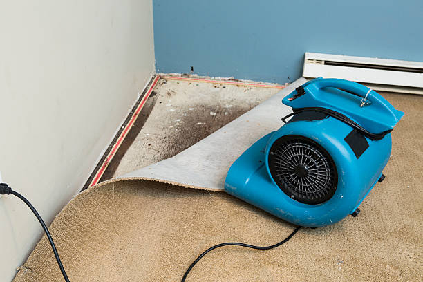 Best Flood damage cleanup  in Vestavia Hills, AL